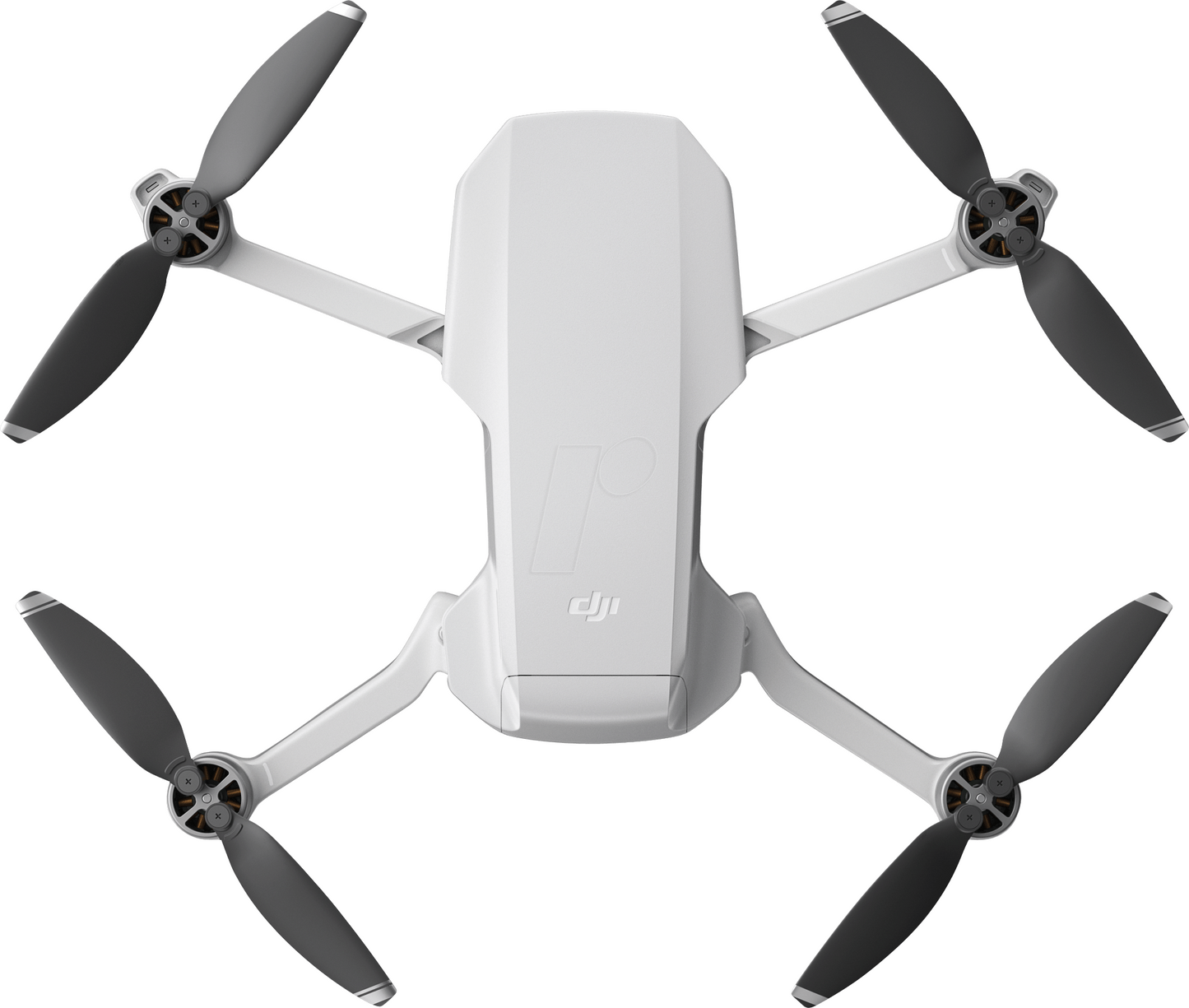 DJI Mavic Mini